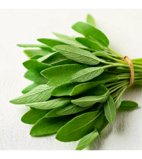 Natural Sage flavouring